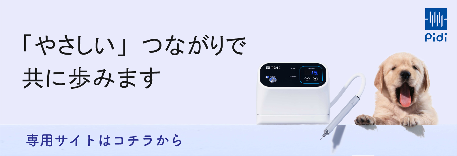 「やさしい」つながりで共に歩みます ペットの口臭・歯肉炎の緩和ケア | Pidi SEKISUI