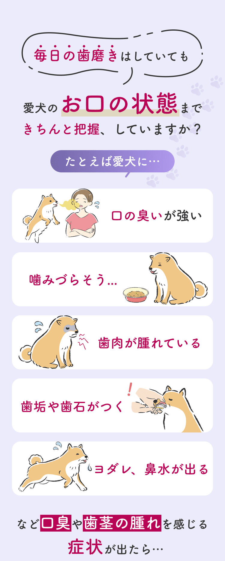 毎日の歯磨きはしていても愛犬のお口の状態まできちんと把握、していますか？例えば愛犬に…口の臭いが強い、噛みづらそう、歯肉が貼れている、歯垢や歯石がつく、ヨダレ、鼻水が出るなど講習や歯茎の腫れを感じる症状が出たら…