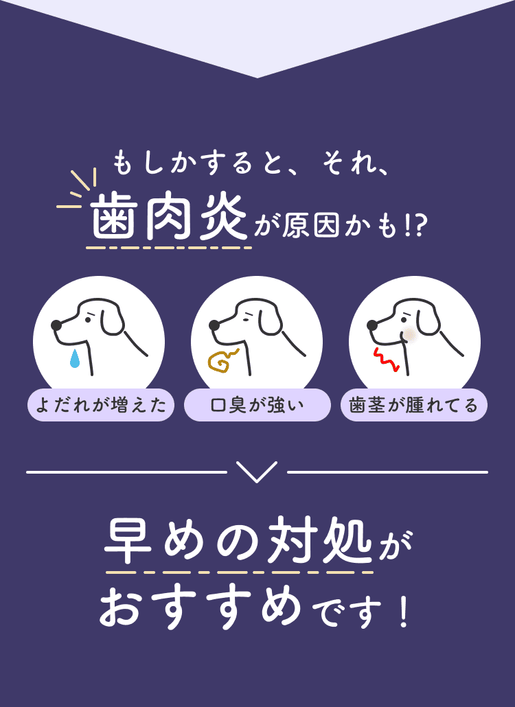 もしかすると、それ、歯肉炎が原因かも!?早めの対処がおすすめです！