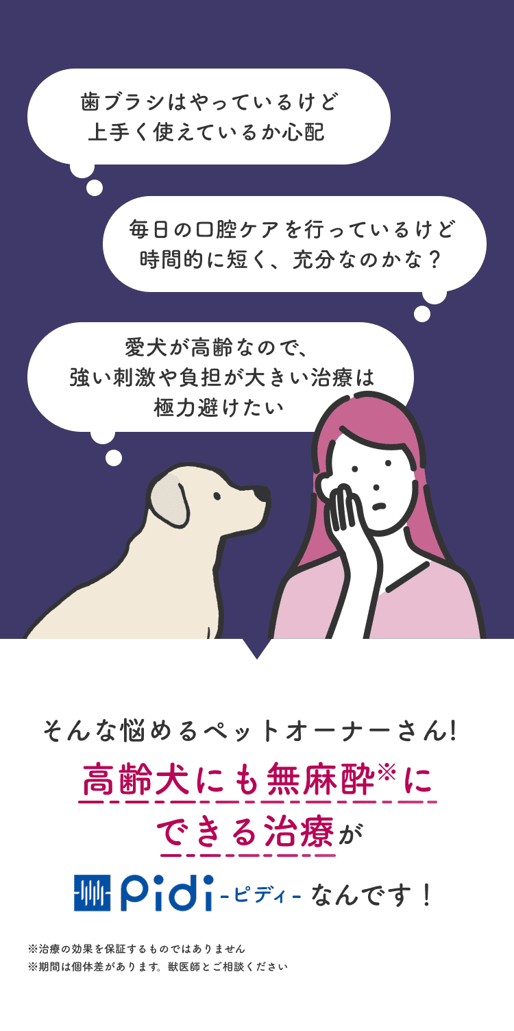 歯ブラシはやっているけど上手く使えているか心配、毎日の口腔ケアを行っているけど時間的に短く充分なのかな？、愛犬が高齢なので強い刺激や負担が大きい治療は極力避けたい。そんな悩めるペットオーナーさん！高齢犬にも無麻酔にできる治療がPidi-ピディ-なんです！