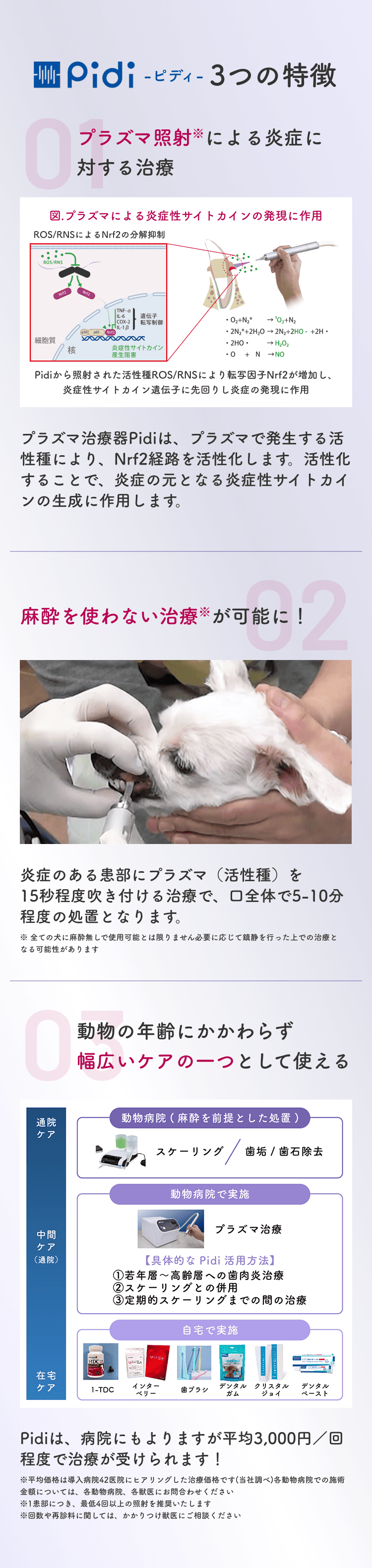 Pidi-ピディ- 3つの特徴。01 プラズマ照射による炎症に対する治療。02 麻酔を使わない治療が可能に！炎症のある患部にプラズマを15秒程度吹き付ける治療で口全体で5〜10分程度の処置。03 動物の年齢にかかわらず幅広いケアの一つとして使える。Pidiは平均3,000円／回程度で治療が受けられます！